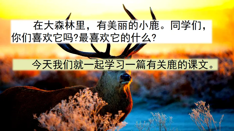 7 鹿角和鹿腿（课件1）_01.webp