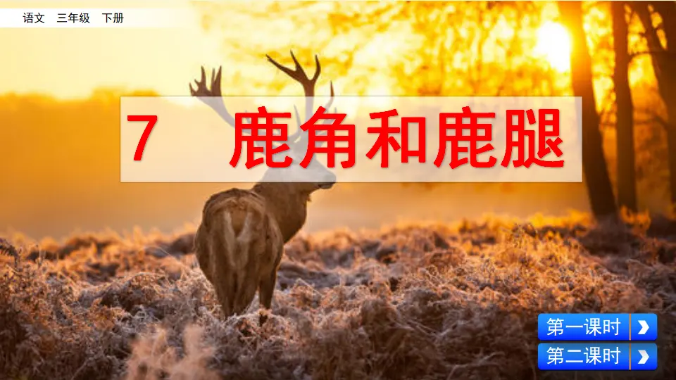 7 鹿角和鹿腿（课件1）_02.webp