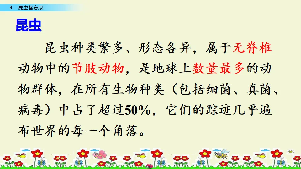 4 昆虫备忘录（课件1）_04.webp