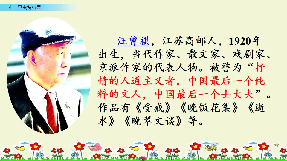 4 昆虫备忘录（课件1）_03.webp