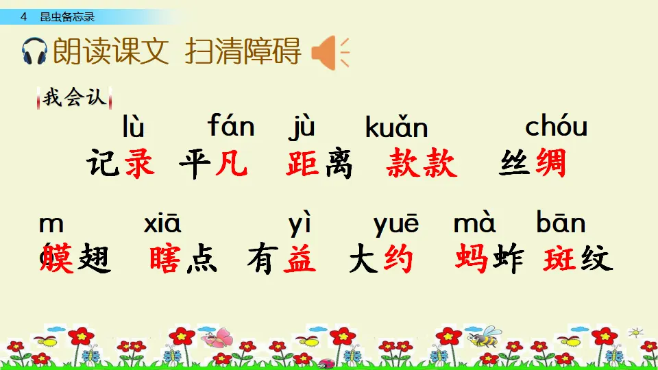 4 昆虫备忘录（课件1）_05.webp