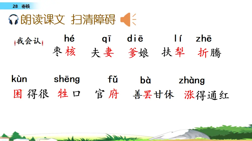 28 枣核（课件1）_04.webp