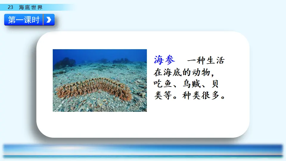 23 海底世界（课件1）_03.webp