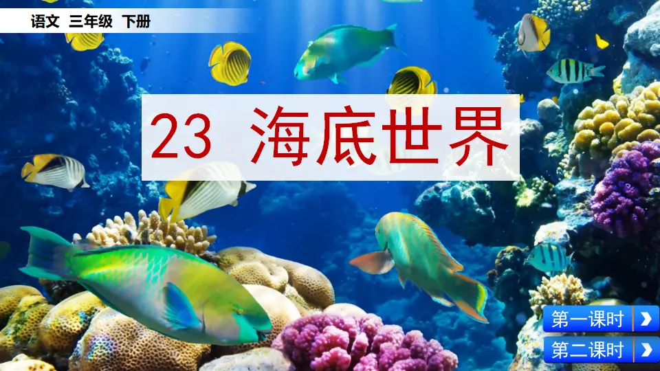 23 海底世界（课件1）_02.webp