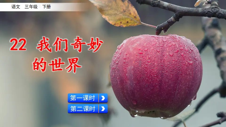 22 我们奇妙的世界（课件1）_02.webp