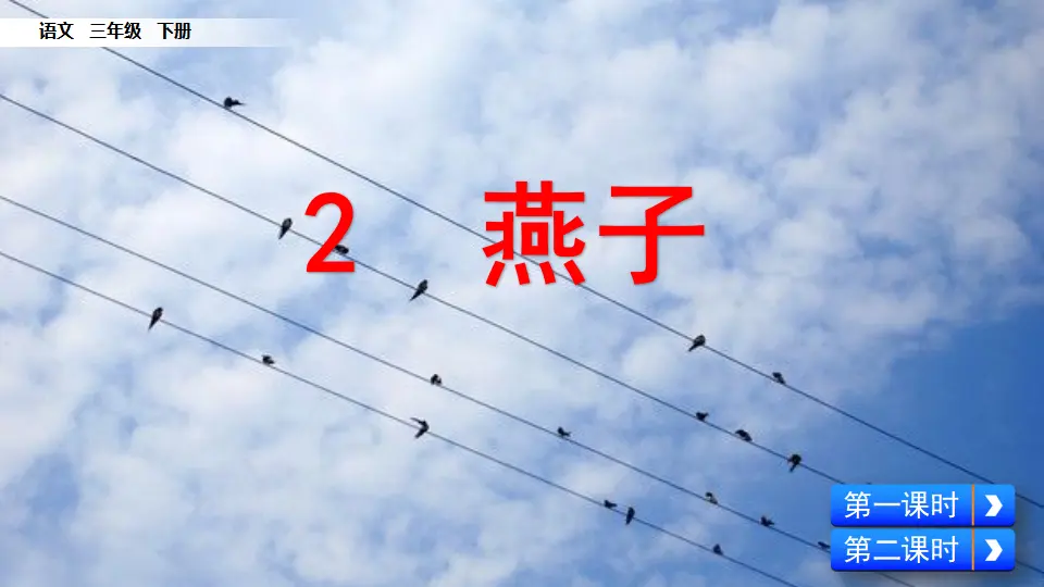 2  燕子（课件1）_03.webp
