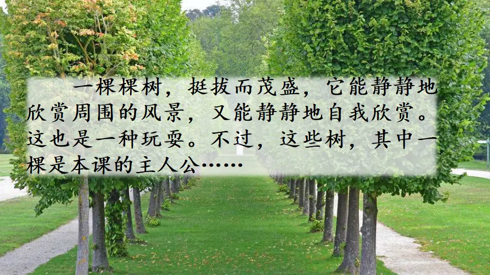 17  我变成了一棵树（课件1）_01.webp
