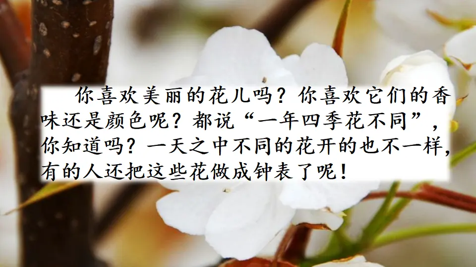 13 花钟（课件1）_01.webp