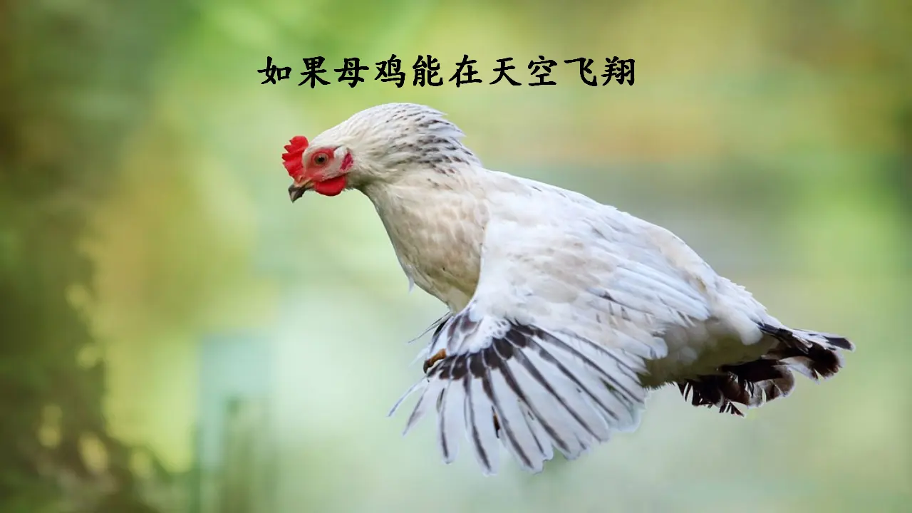 第八单元习作课件：这样想象真有趣（课件2）_02.webp