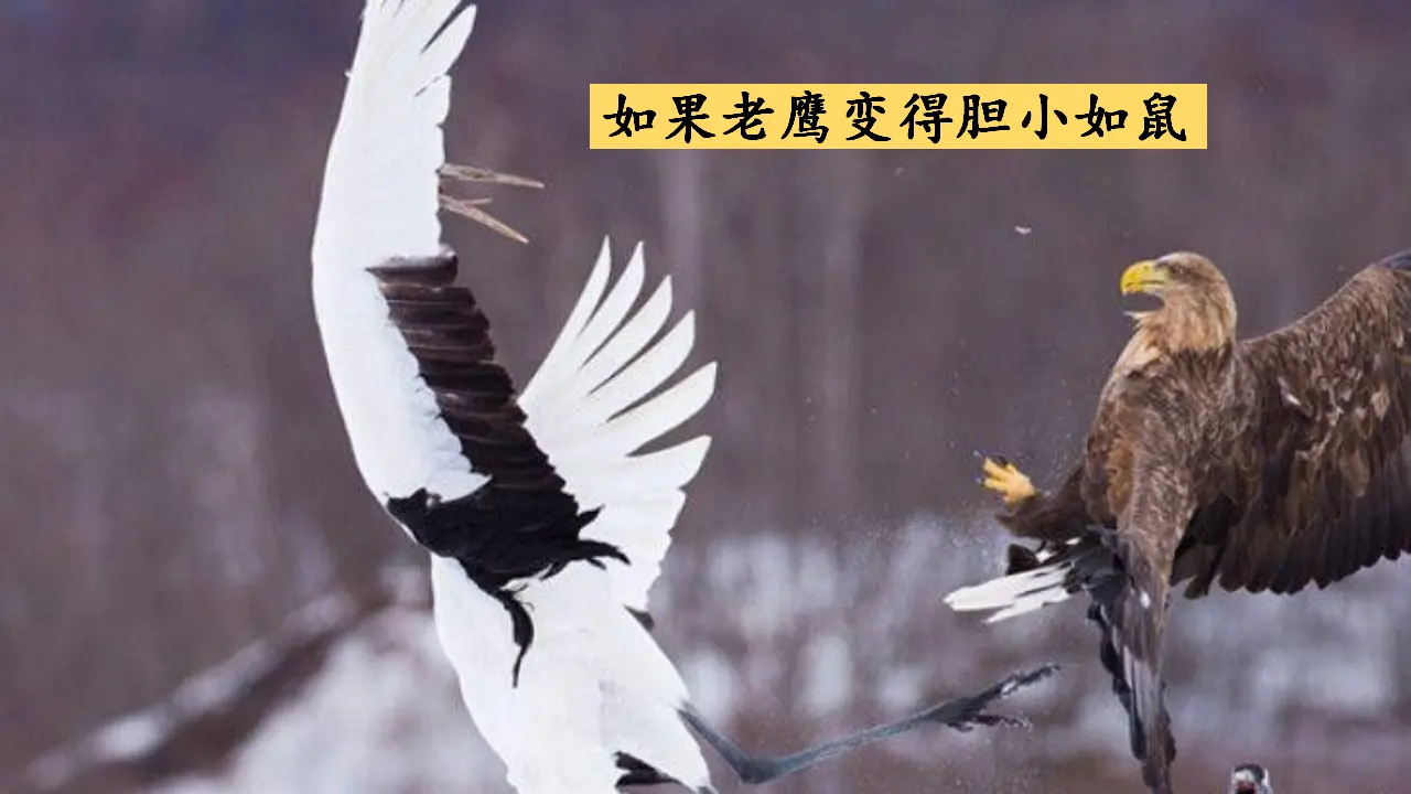 第八单元习作课件：这样想象真有趣（课件2）_04.webp