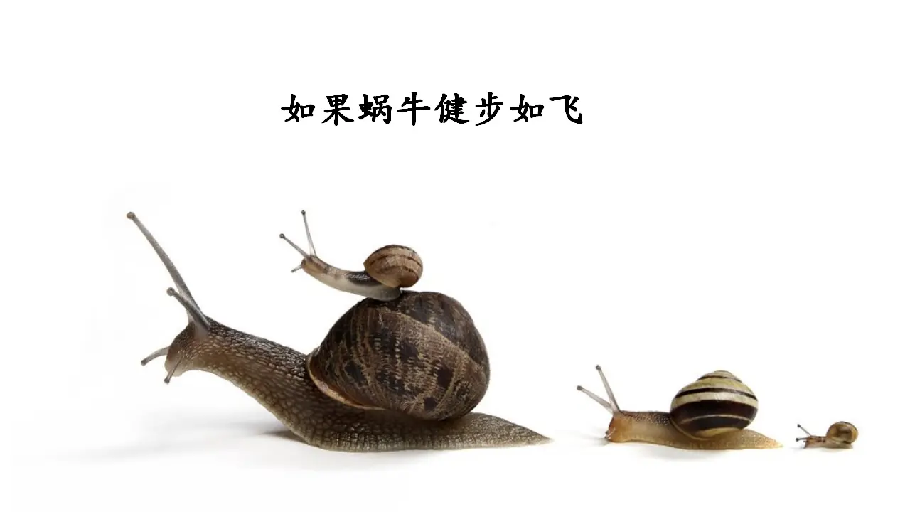 第八单元习作课件：这样想象真有趣（课件2）_05.webp
