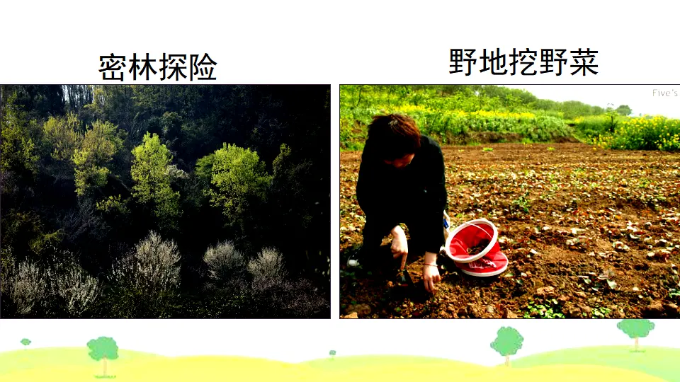 口语交际 春游去哪儿玩（课件2）_04.webp