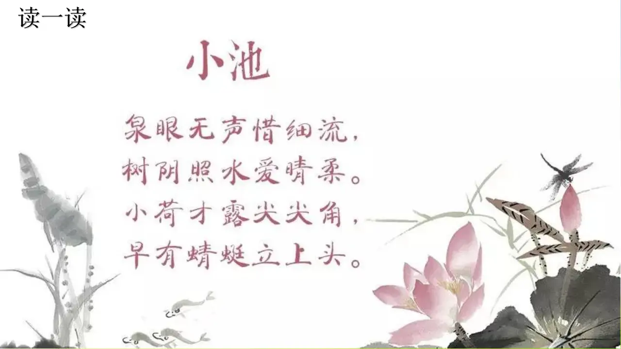 8 池子与河流（课件2）_02.webp