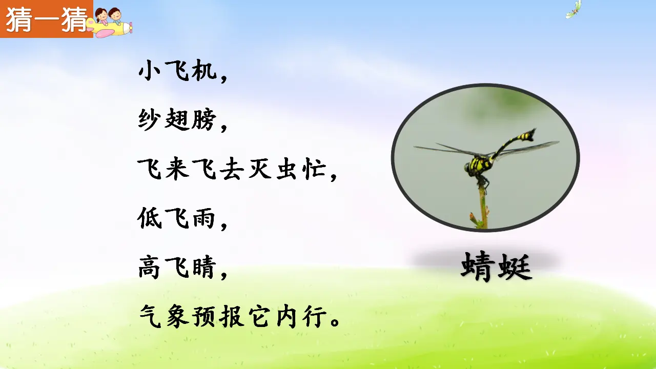 4 昆虫备忘录（课件2）_02.webp