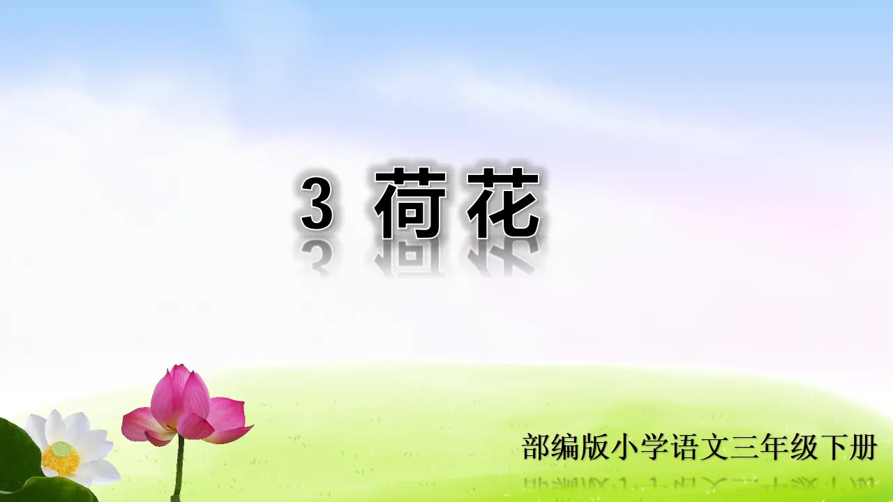 3 荷花（课件2）_01.webp