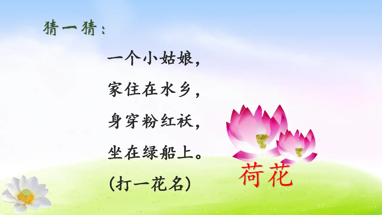 3 荷花（课件2）_02.webp