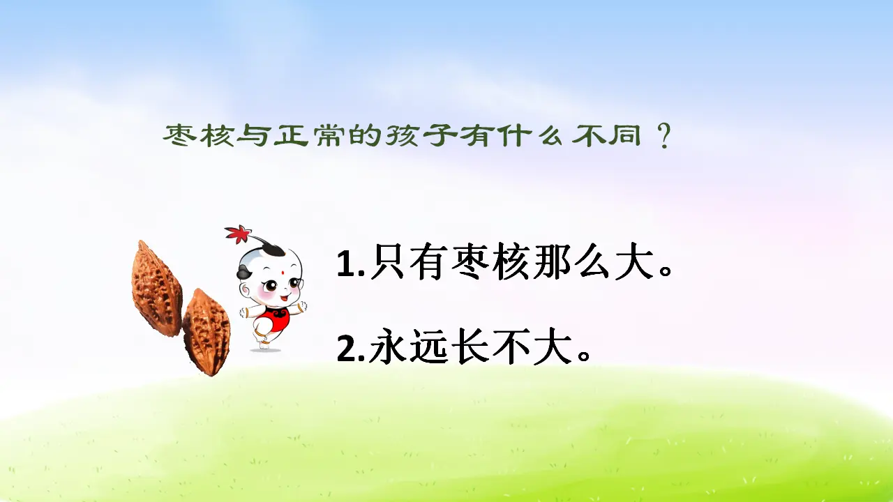 28 枣核（课件2）_05.webp