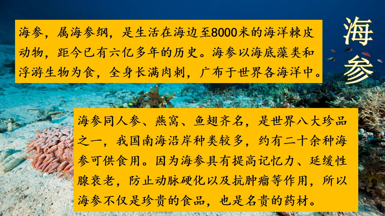 23 海底世界（课件2）_04.webp