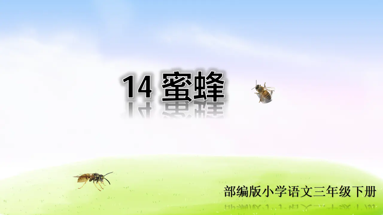 14 蜜蜂（课件2）_01.webp