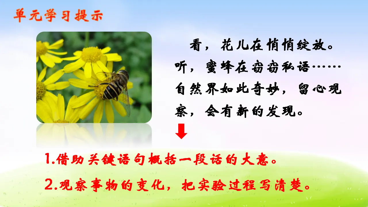 13 花钟（课件2）_01.webp