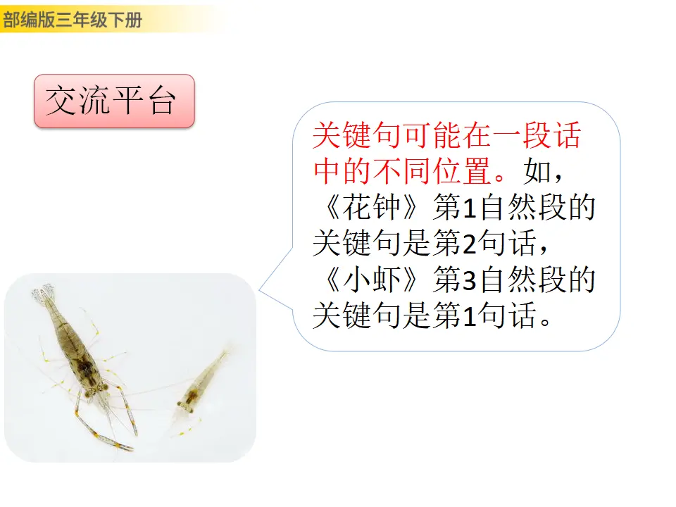 语文园地四（课件3）_04.webp