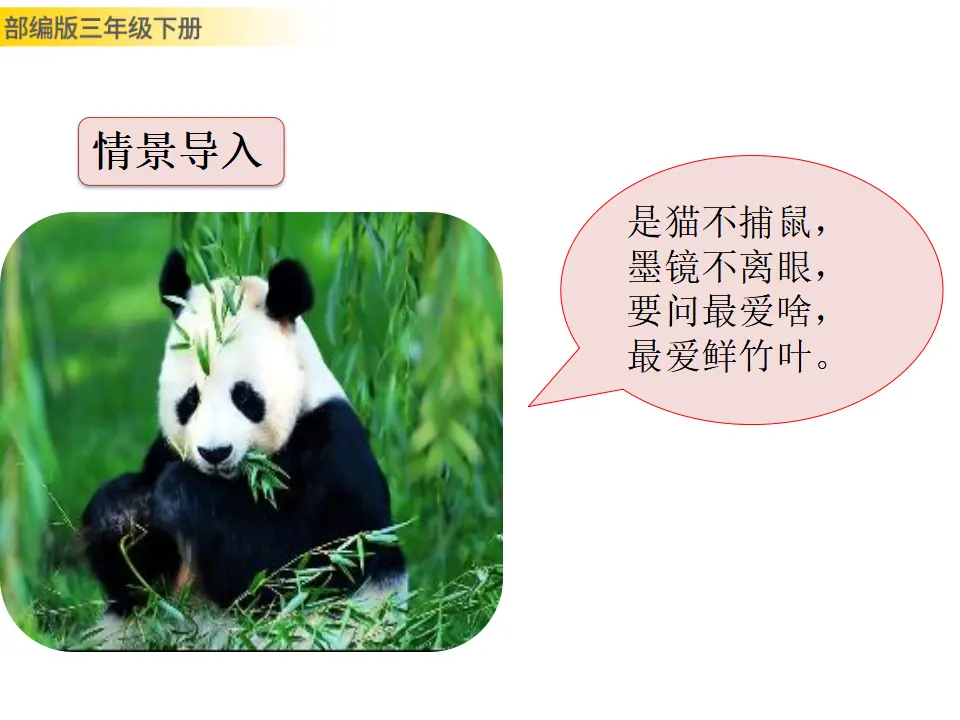 习作：国宝大熊猫（课件3）_02.webp