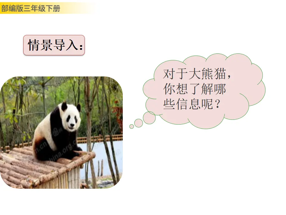 习作：国宝大熊猫（课件3）_03.webp