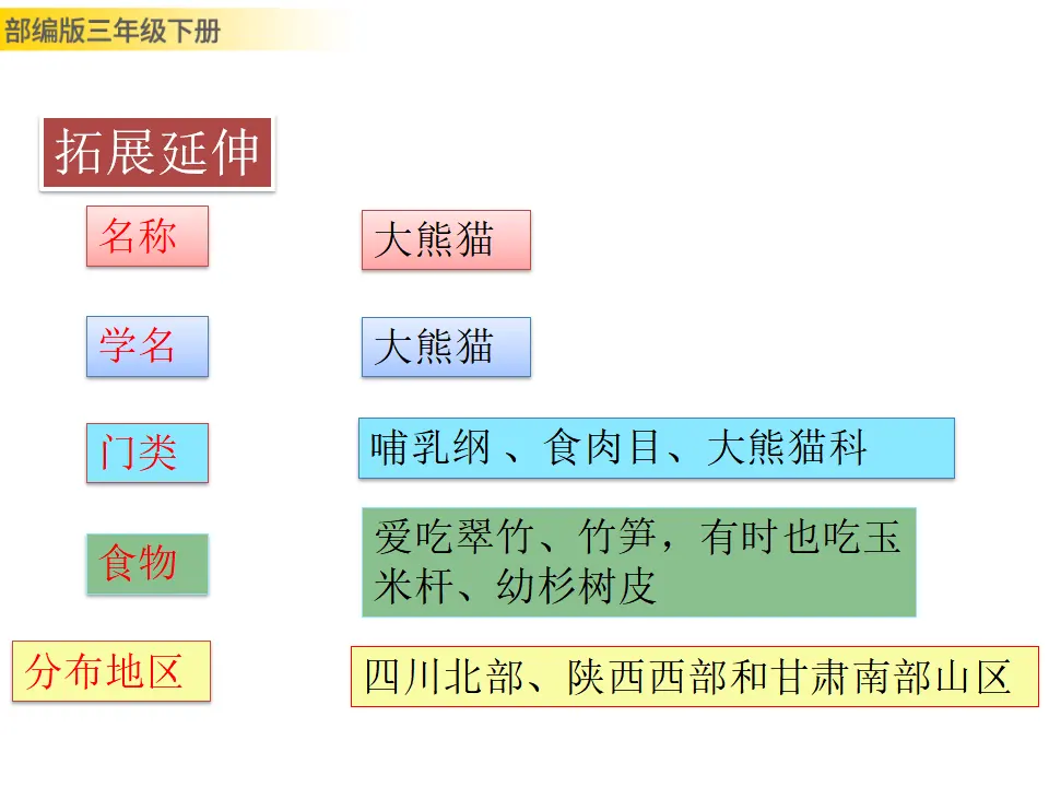习作：国宝大熊猫（课件3）_05.webp