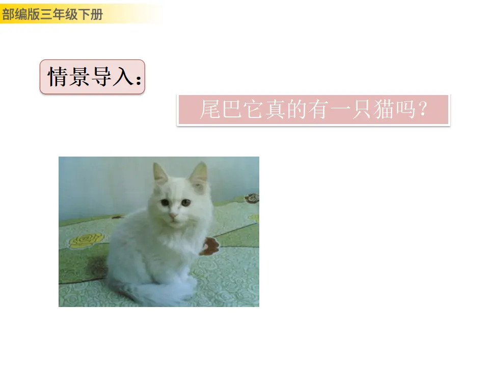 习作例文：尾巴它有一只猫（课件3）_02.webp