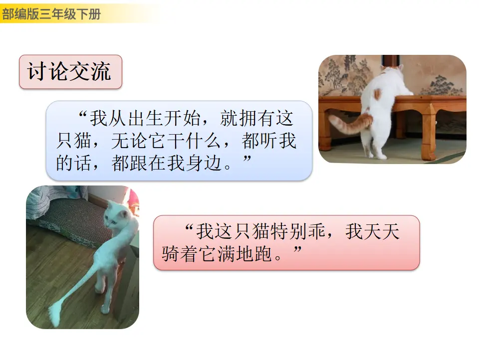 习作例文：尾巴它有一只猫（课件3）_03.webp