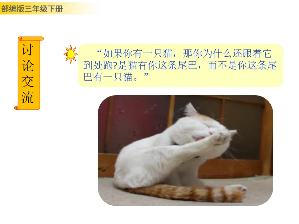 习作例文：尾巴它有一只猫（课件3）_04.webp