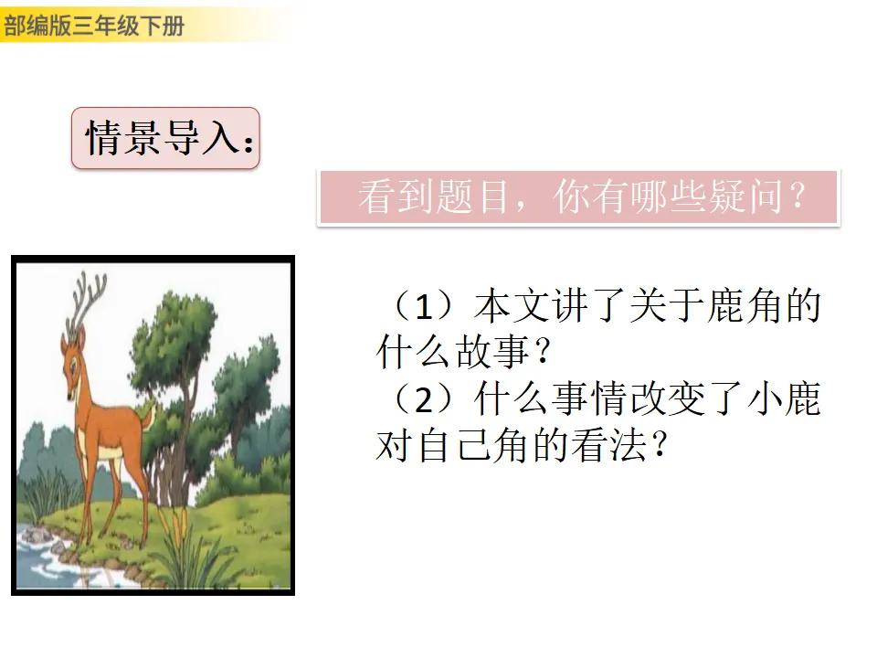 7 鹿角和鹿腿（课件3）_02.webp