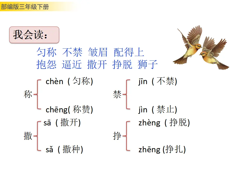 7 鹿角和鹿腿（课件3）_04.webp