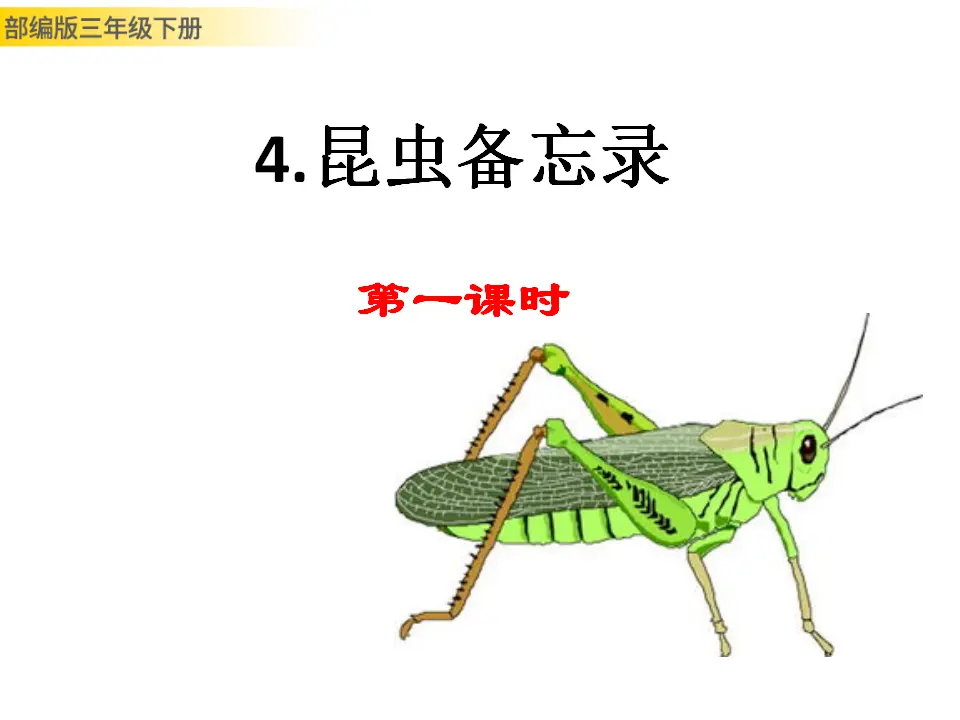 4 昆虫备忘录（课件3）_01.webp