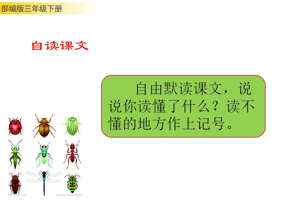 4 昆虫备忘录（课件3）_03.webp