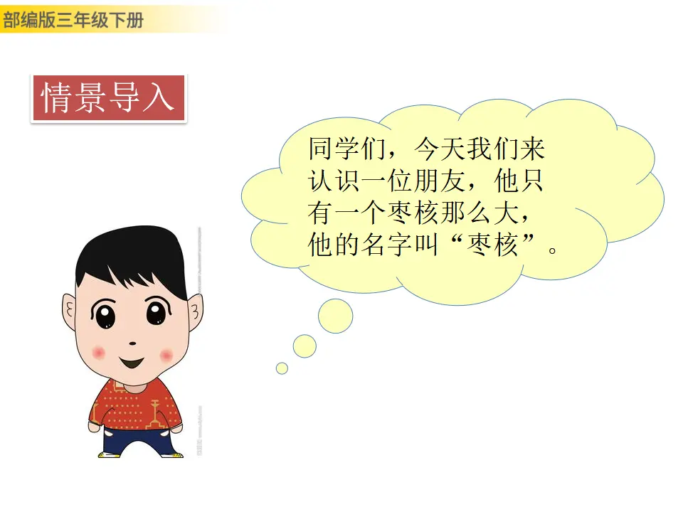 28 枣核（课件3）_02.webp