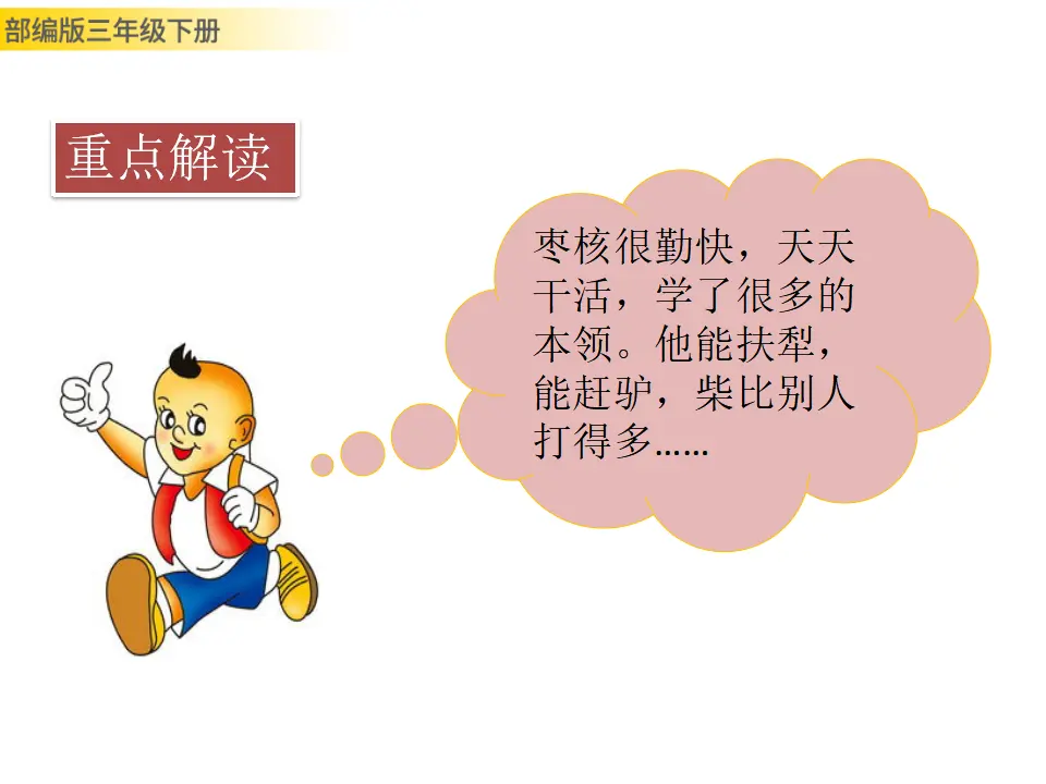 28 枣核（课件3）_05.webp