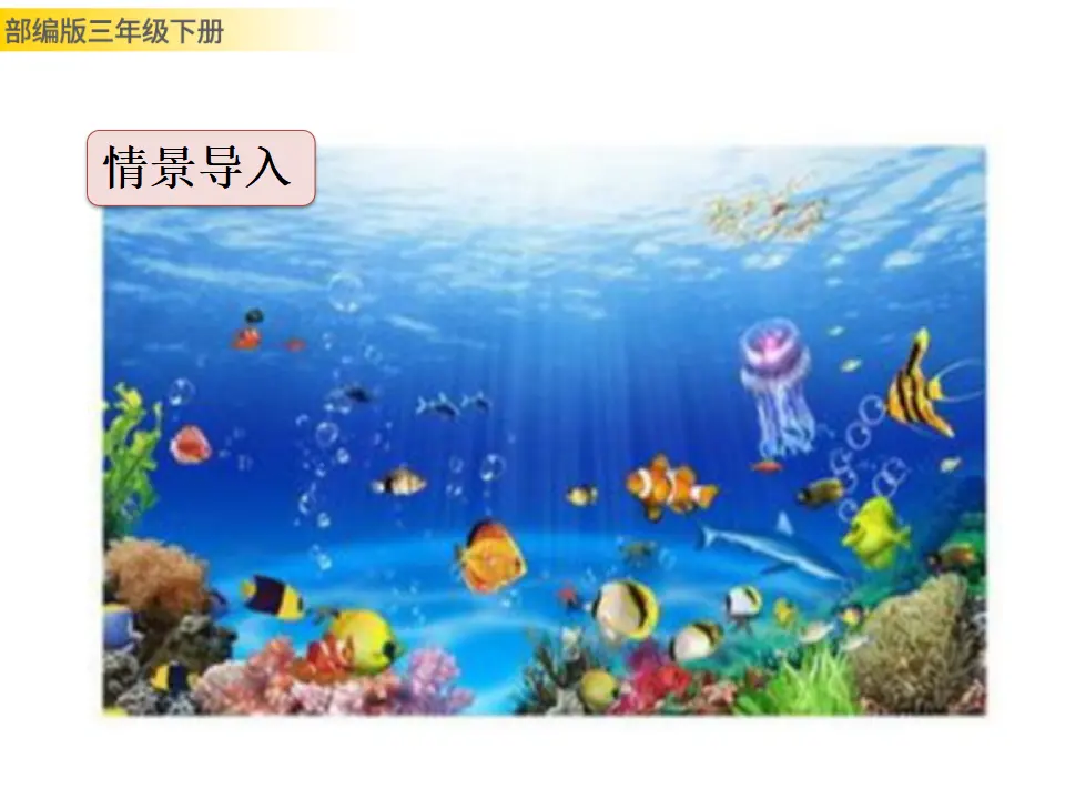 23 海底世界（课件3）_02.webp