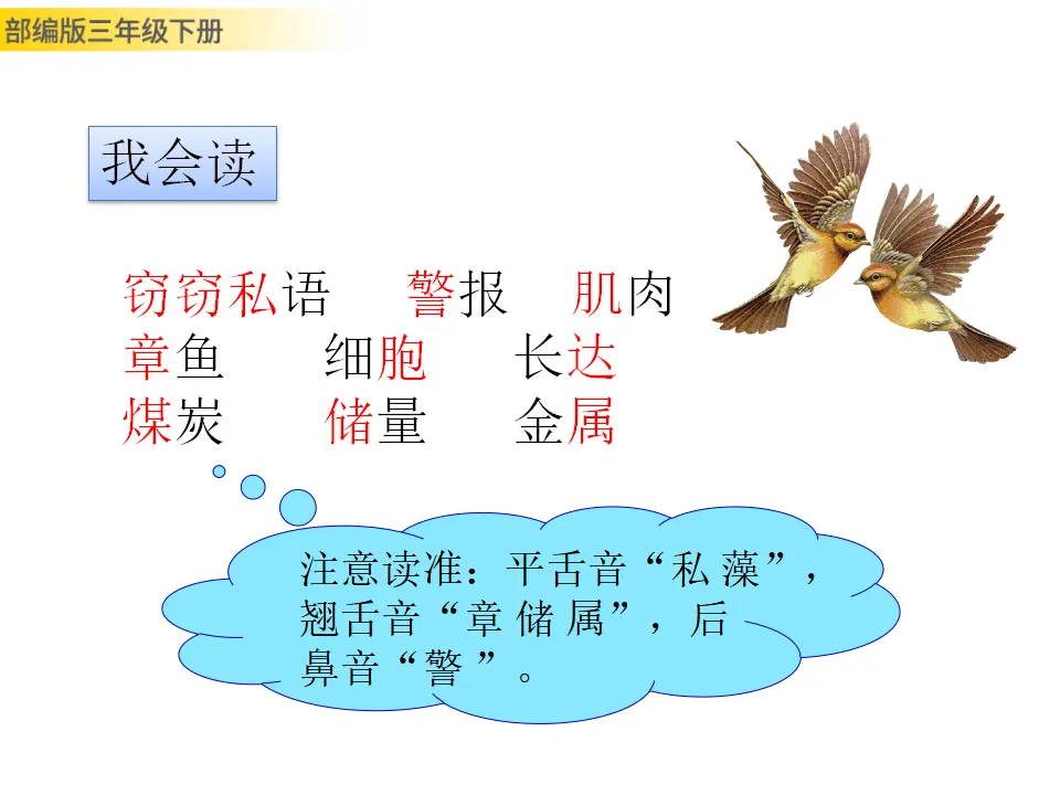 23 海底世界（课件3）_04.webp