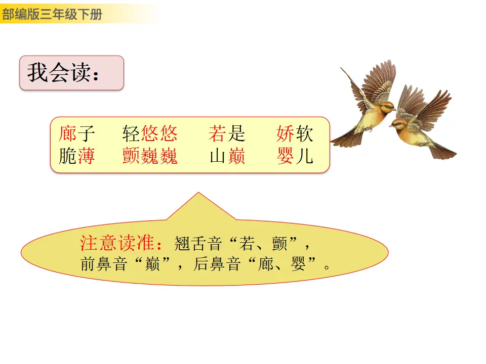 20 肥皂泡（课件3）_04.webp