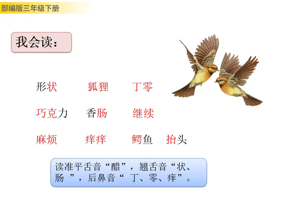17 我变成了一棵树（课件3）_03.webp
