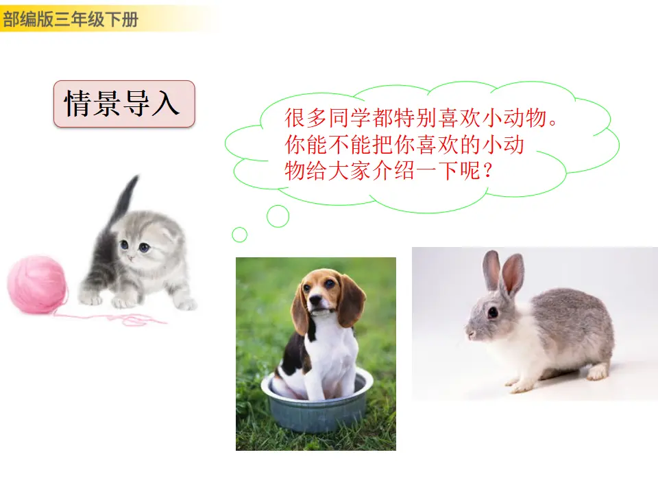 15 小虾（课件3）_02.webp
