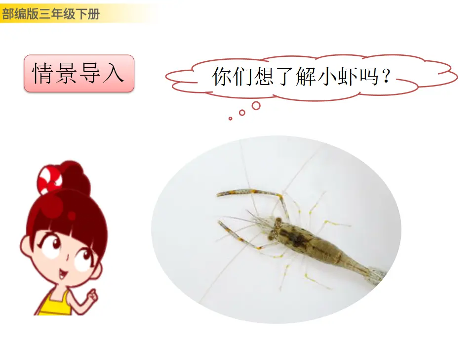15 小虾（课件3）_03.webp