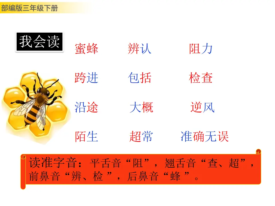 14 蜜蜂（课件3）_04.webp