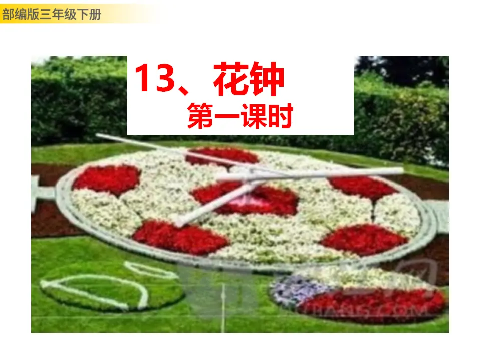 13 花钟（课件3）_01.webp