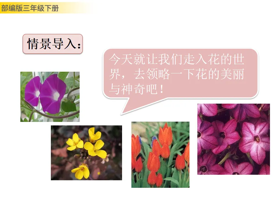 13 花钟（课件3）_02.webp