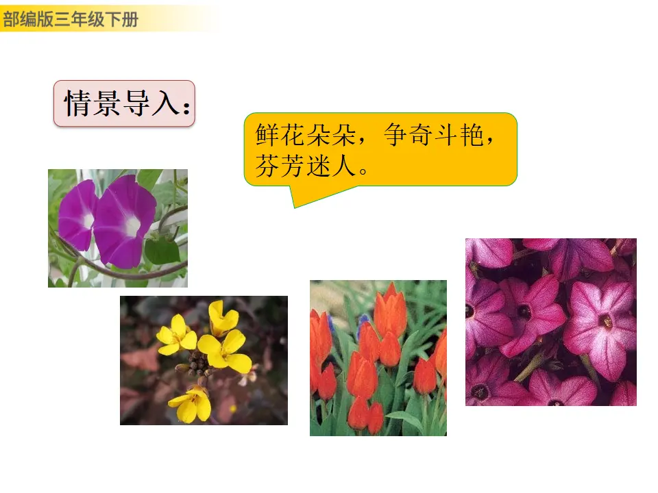 13 花钟（课件3）_03.webp