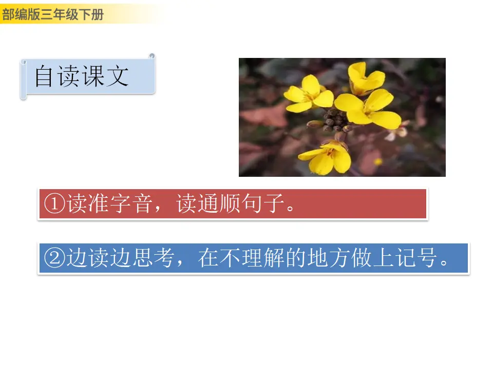 13 花钟（课件3）_04.webp