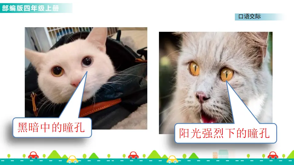 口语交际：爱护眼睛，保护视力（课件1）_04.webp