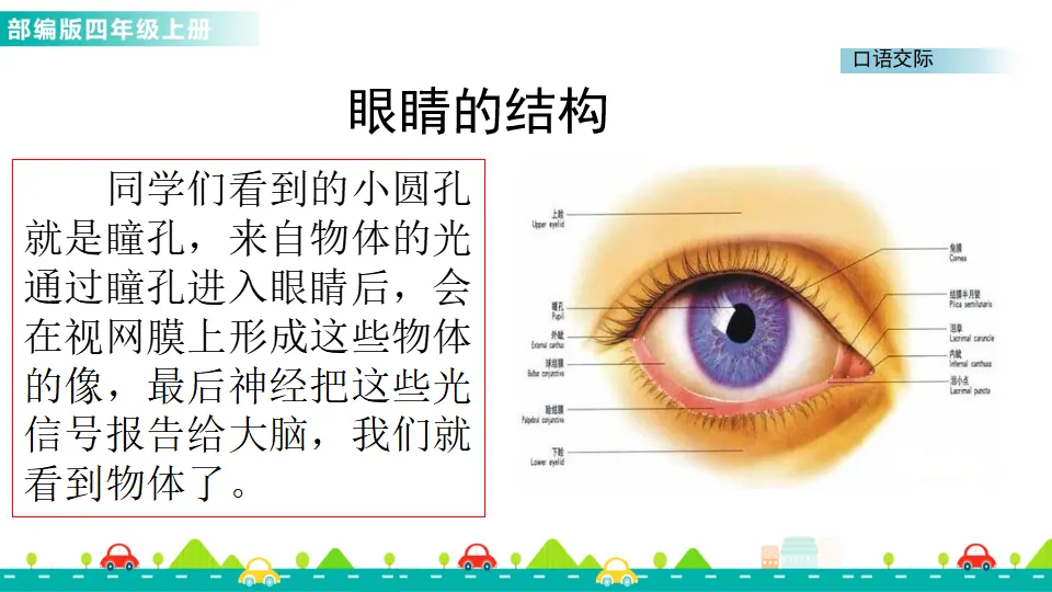 口语交际：爱护眼睛，保护视力（课件1）_03.webp